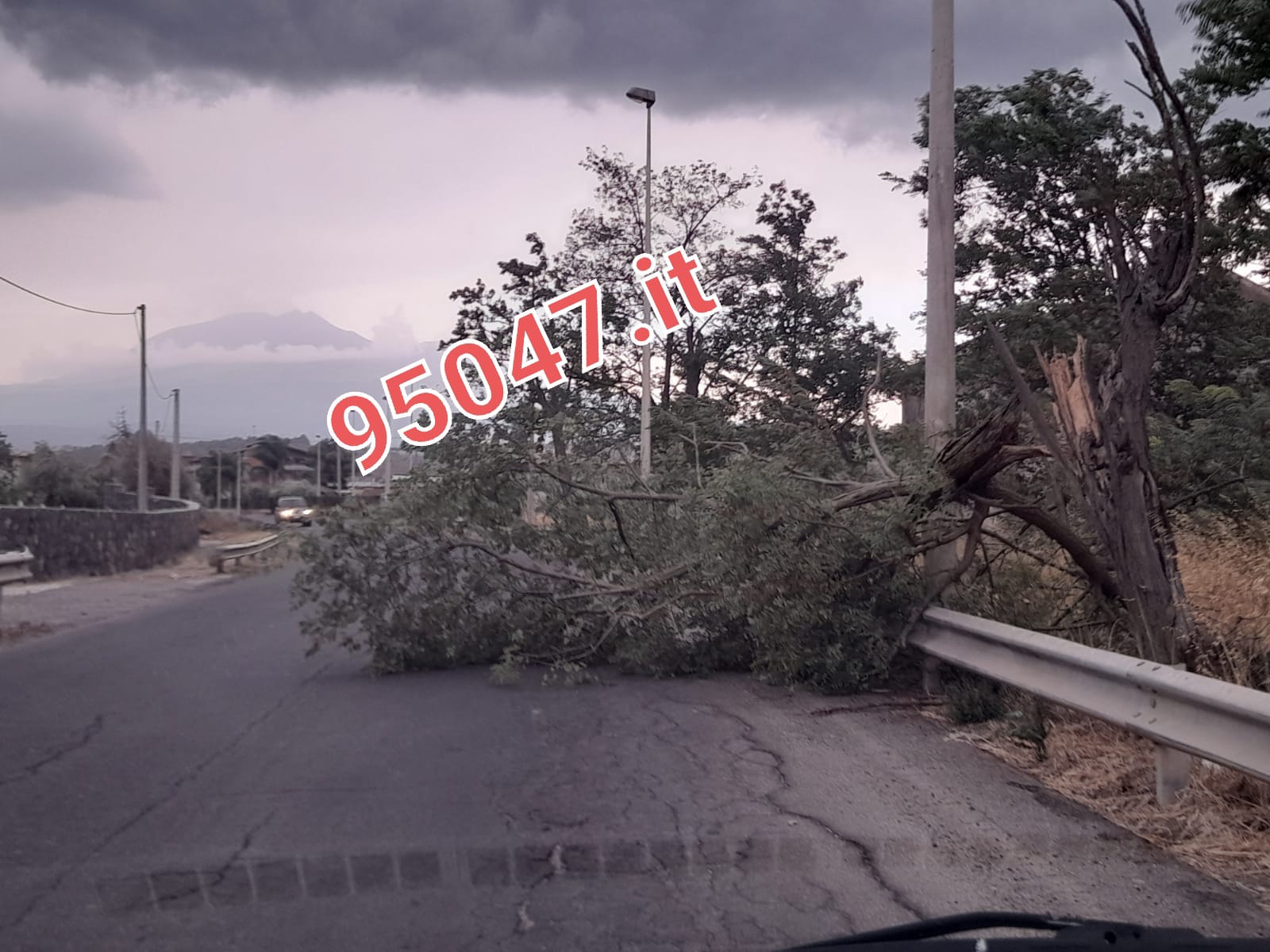 PATERNO'. MALTEMPO, GROSSO RAMO CADE IN CONTRADA TRE FONTANE