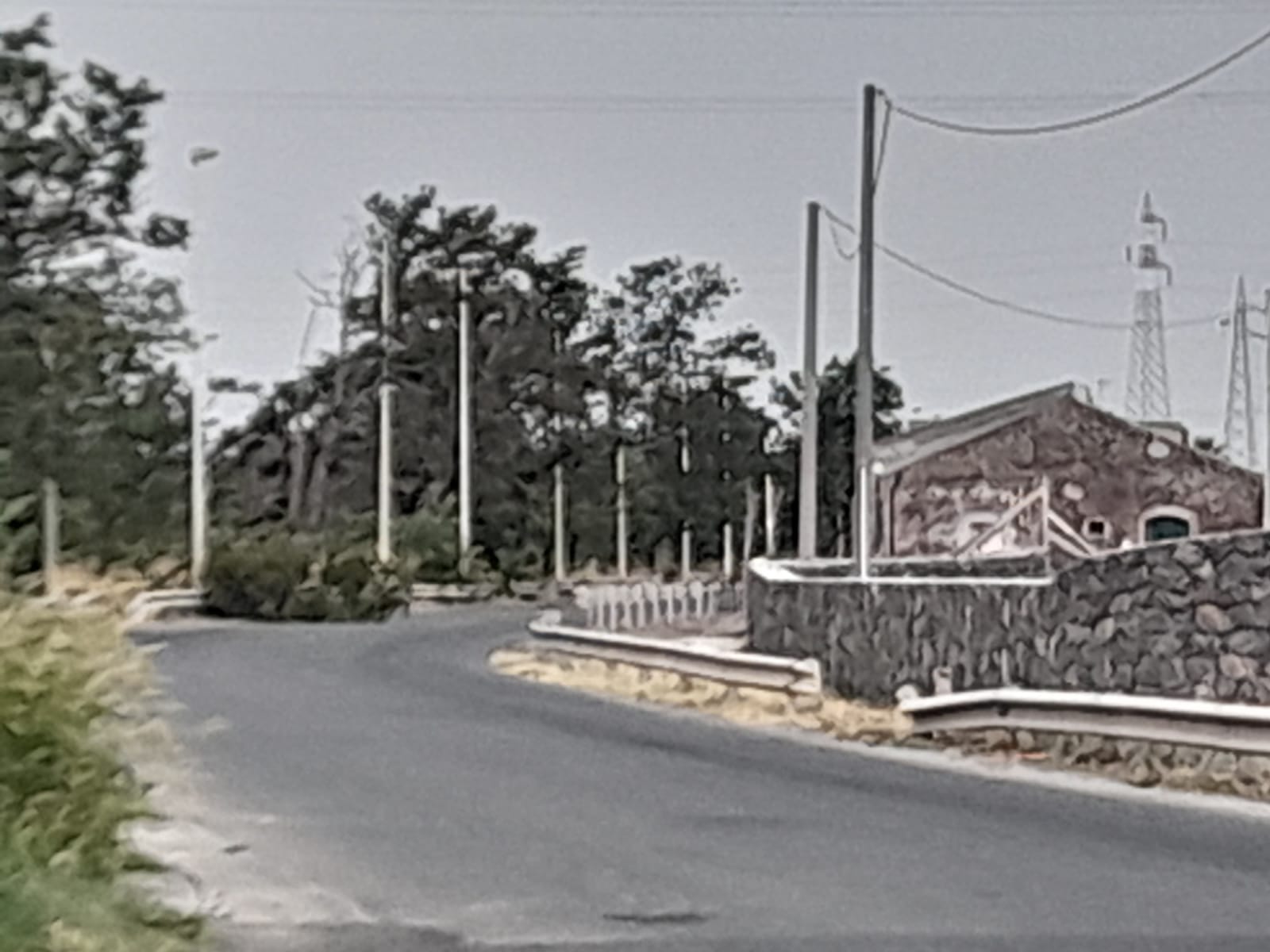 PATERNO'. MALTEMPO, GROSSO RAMO CADE IN CONTRADA TRE FONTANE