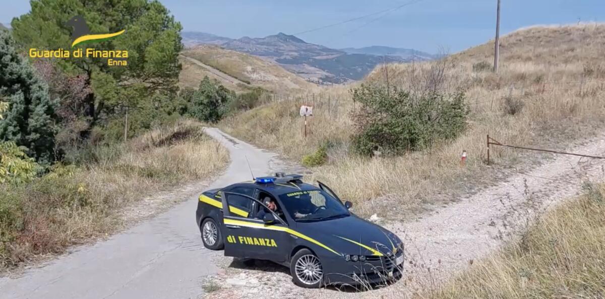 ADRANO, CATANIA E RANDAZZO. TRUFFA ALL’UE E AL SISTEMA ANTIMAFIA, 13 ARRESTI E SEQUESTRATI BENI PER 3 MILIONI DI EURO - 