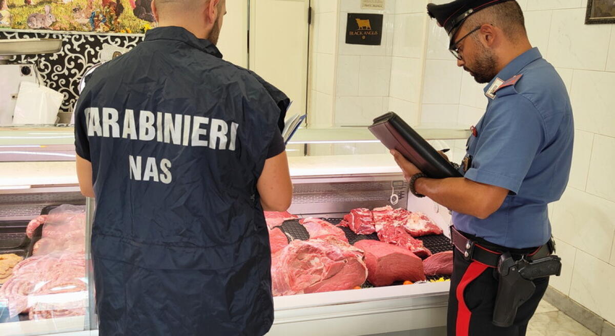 CONTROLLI A TAPPETO DEI NAS A CATANIA. CARNE ESPOSTA ALL'ARIA APERTA E TONNO CONTAMINATO - 