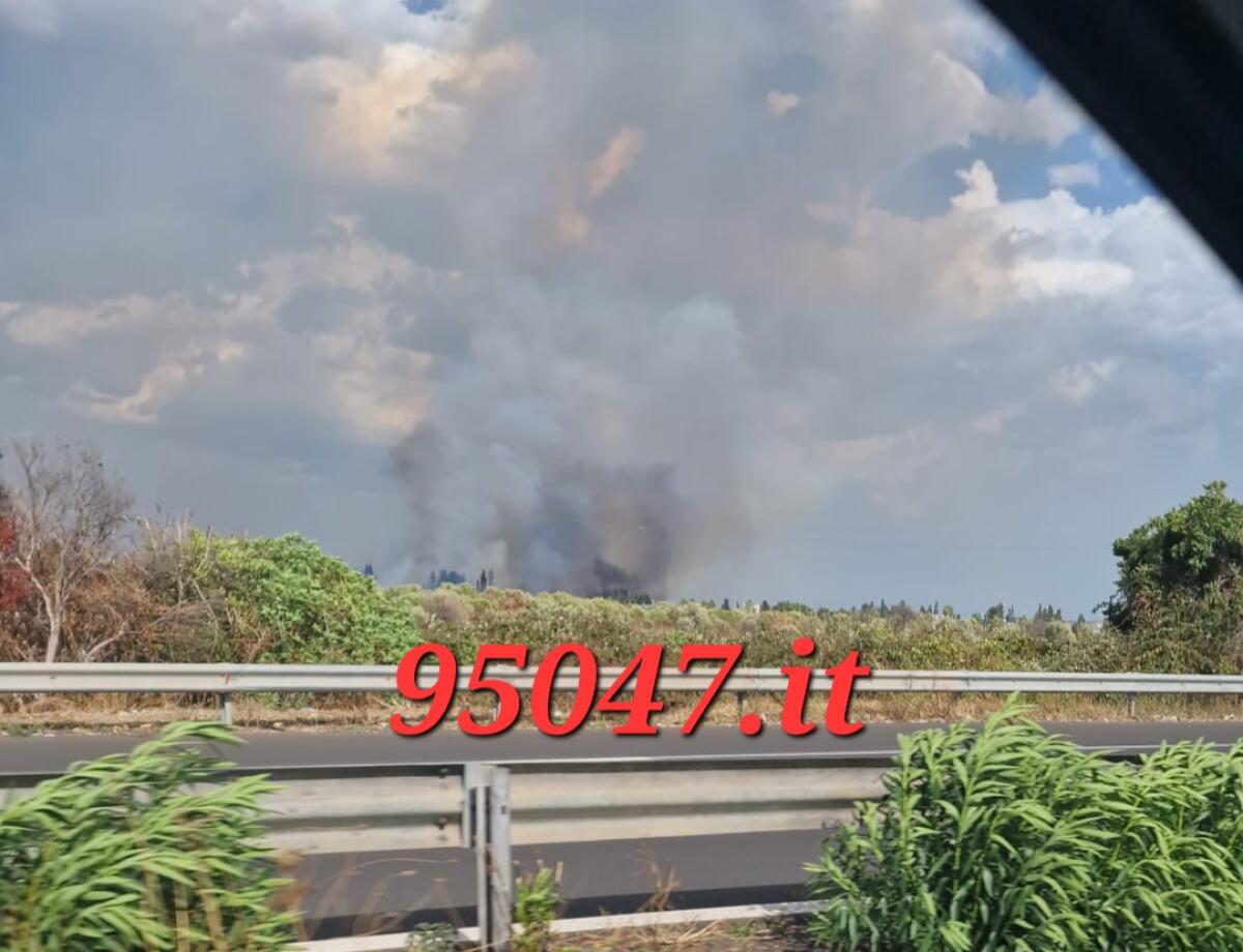 DIVERSI INCENDI IN DIVERSI COMUNI ETNEI, VASTO INCENDIO ALL'OASI DEL SIMETO. IN VIA PRECAUZIONALE ALLERTATO GOMMONE PER EVENTUALE  EVACUAZIONE - 