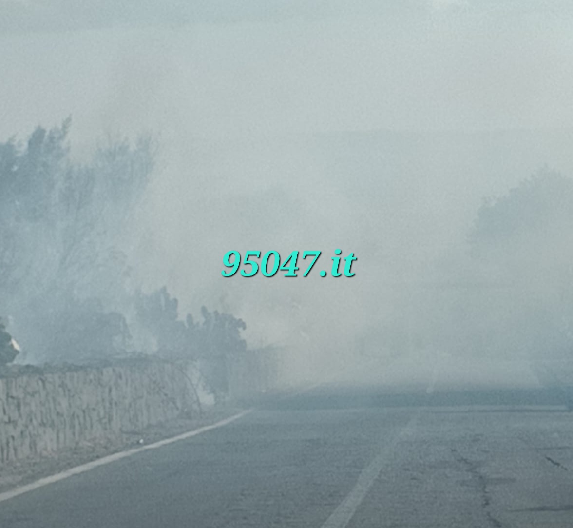 Fiamme al limite della carreggiata e fumo in strada: incendio in via Mongibello