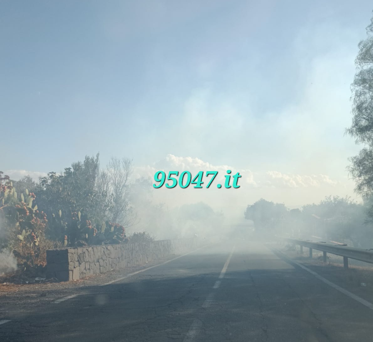 Fiamme al limite della carreggiata e fumo in strada: incendio in via Mongibello