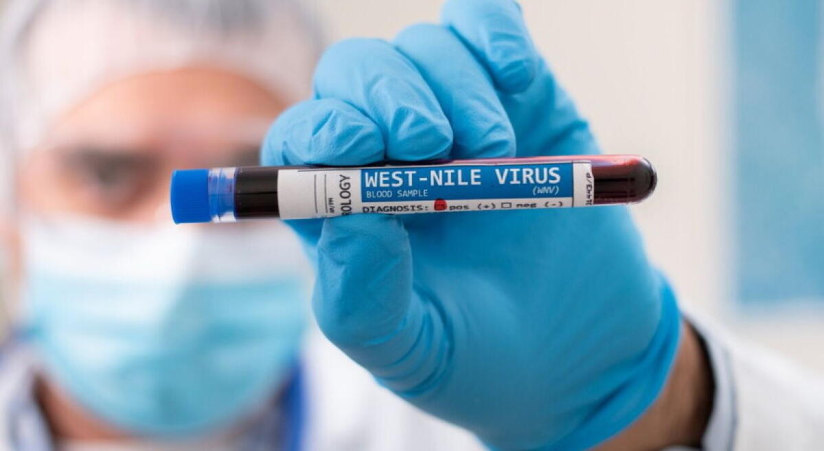 PRIMO CASO DI WEST NILE: DONNA DI 72 ANNI DI RAMACCA RICOVERATA AL SAN MARCO - 