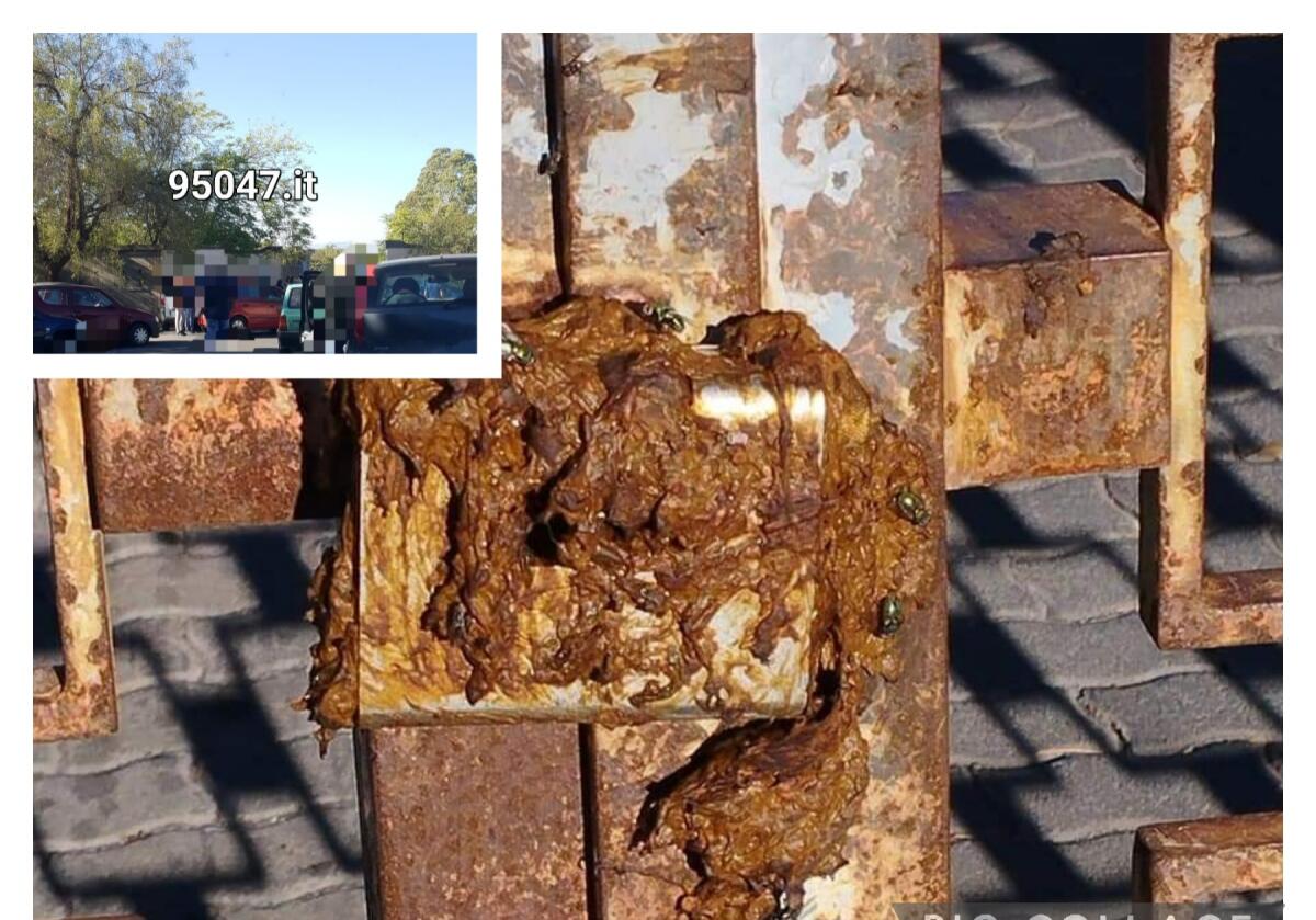 PATERNO'. ATTO VANDALICO NEL CIMITERO DI VIA BALATELLE LUCCHETTI OTTURATI CON ESCREMENTI - 