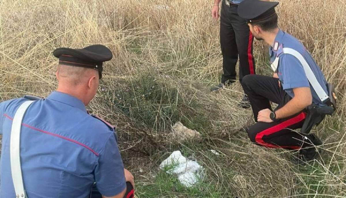NEONATO ABBANDONATO DENTRO SACCHETTO DI PLASTICA NEL TRAPANESE,  SALVATO DAI CARABINIERI - 