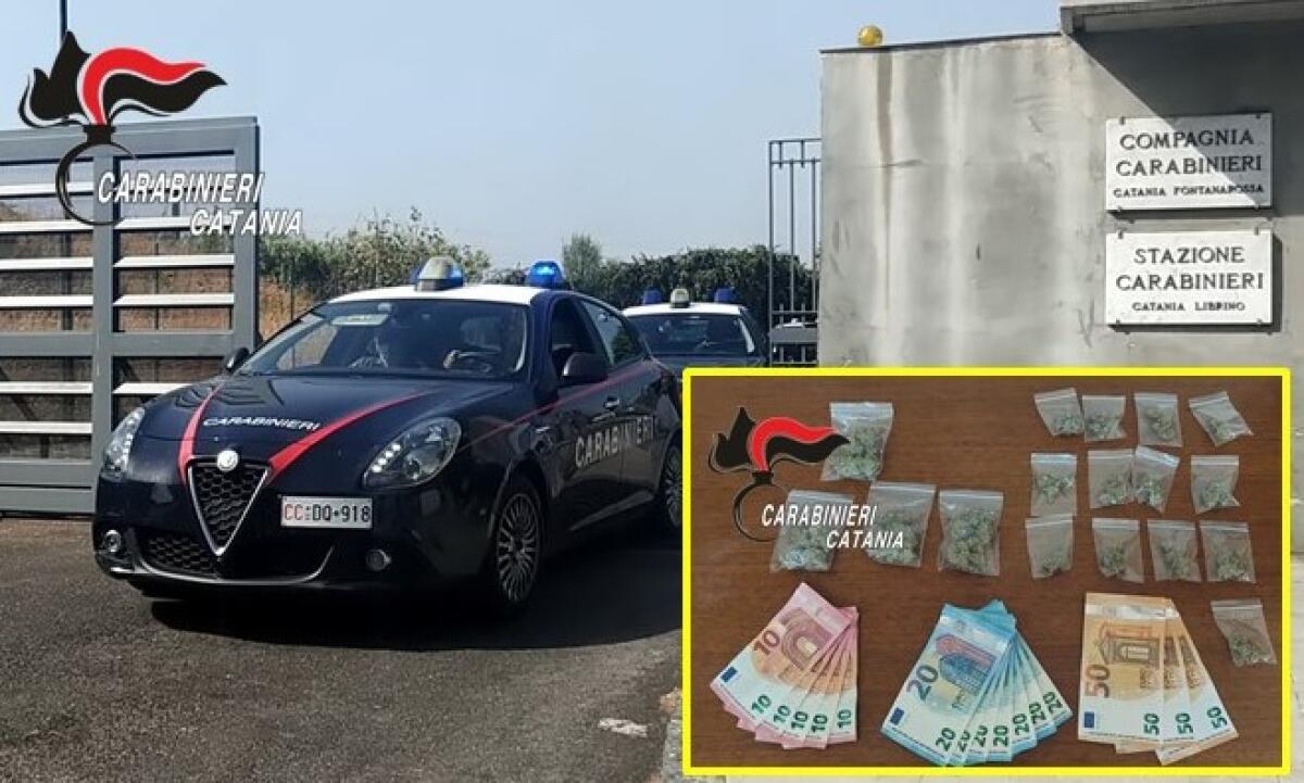 SORPRESO A SPACCIARE IN STRADA DAI CARABINIERI: ARRESTATO UN 47ENNE - 