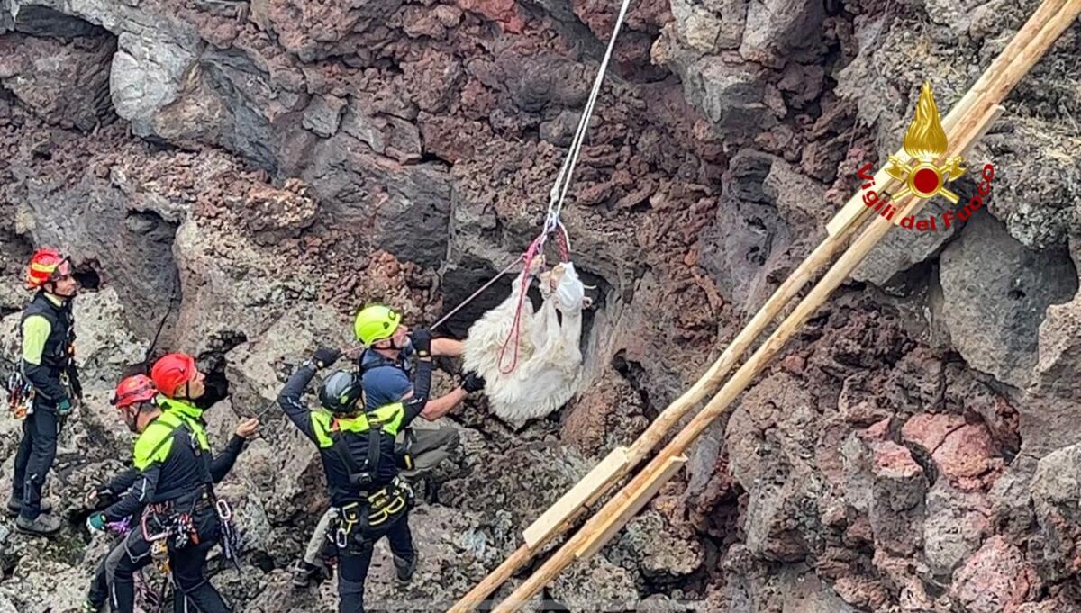 BRONTE, CAPRETTA CADUTA IN UN POZZO VULCANICO CROLLATO: SALVATA DAI VIGILI DEL FUOCO - 