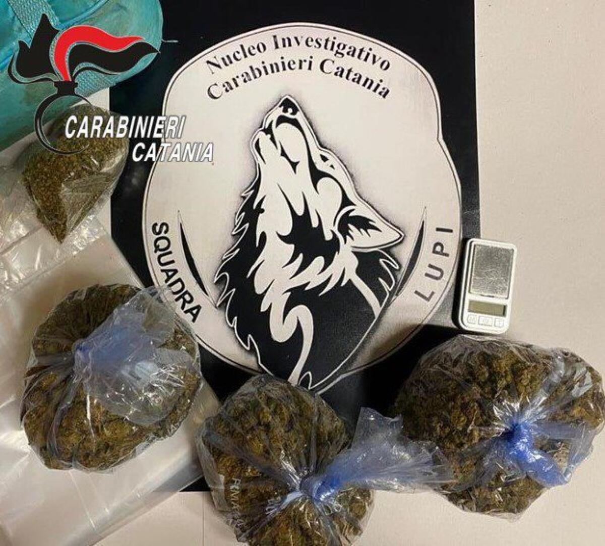 CATANIA. DROGA NASCOSTA NEI SACCHETTI PER FREEZER. ARRESTATO - 