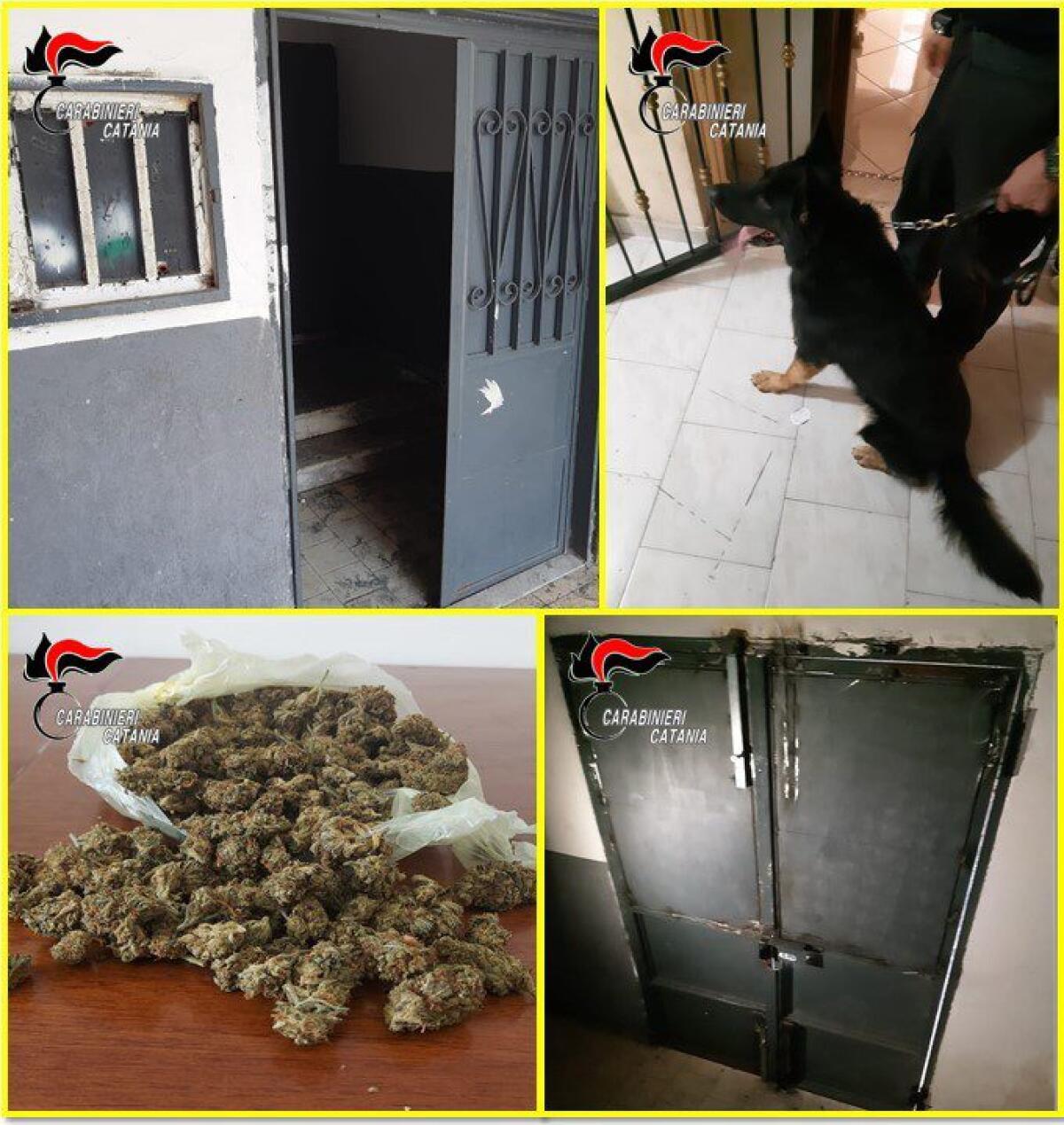 CATANIA. ARRESTATO UN PUSHER 55ENNE E RIMOSSI I CHIAVISTELLI “ANTI FORZE DELL’ORDINE” AL PORTONE DI INGRESSO DI UN PALAZZO DEL VIALE NITTA - 