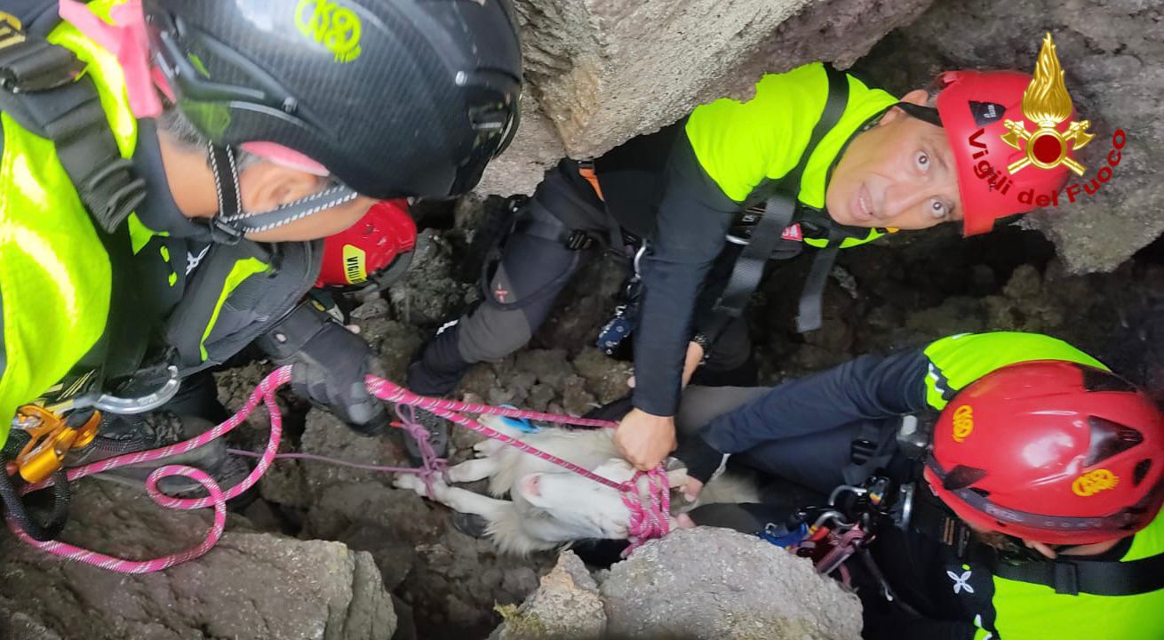 BRONTE, CAPRETTA CADUTA IN UN POZZO VULCANICO CROLLATO: SALVATA DAI VIGILI DEL FUOCO