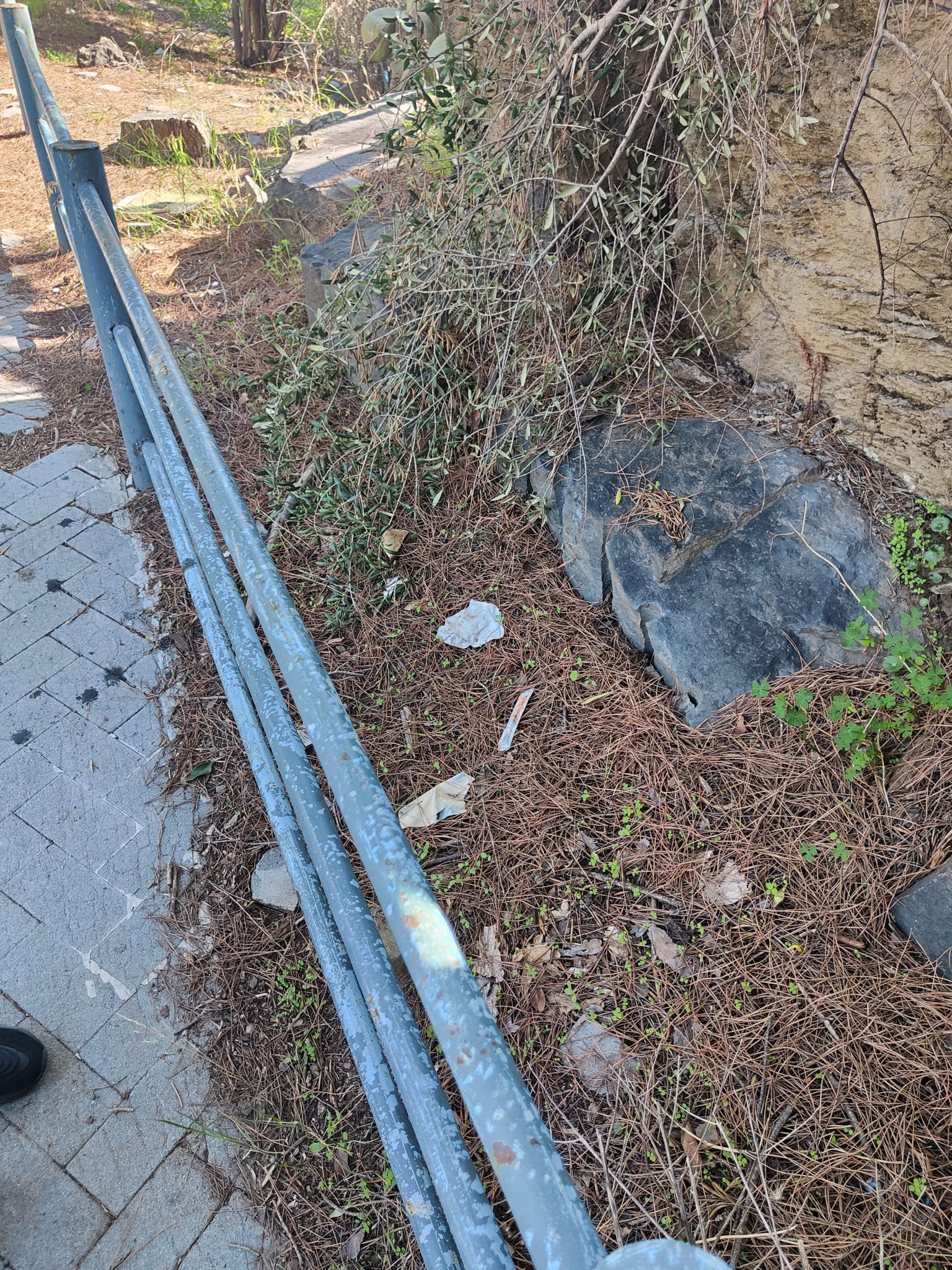 PATERNO’: SEGNALAZIONI DI RIFIUTI E SIRINGHE ABBANDONATI