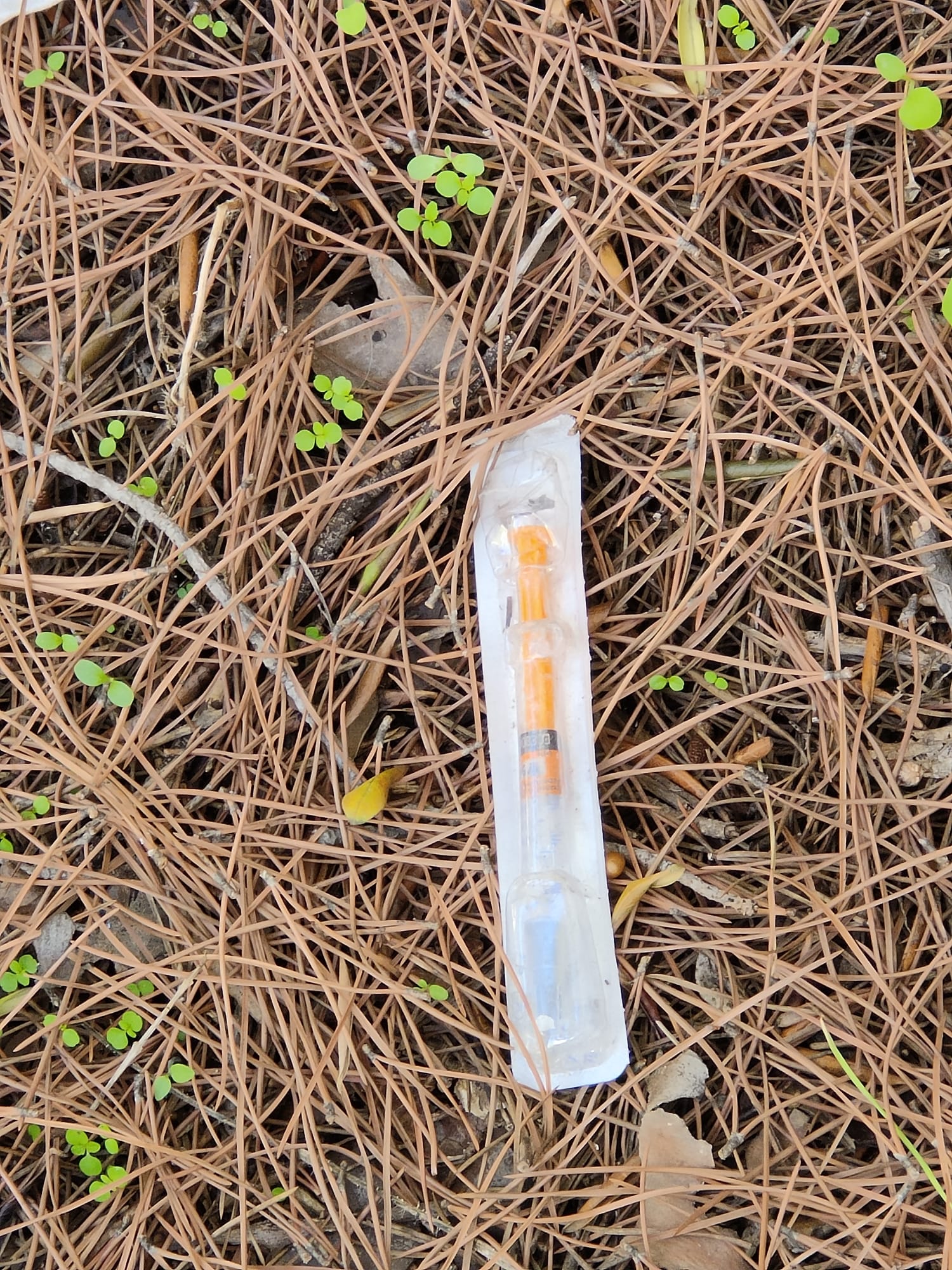 PATERNO’: SEGNALAZIONI DI RIFIUTI E SIRINGHE ABBANDONATI