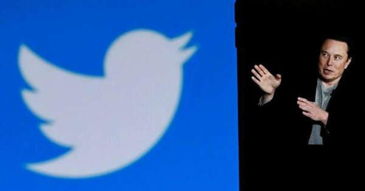 TWITTER HA LANCIATO LA SPUNTA BLU A PAGAMENTO: DA ORA 8 DOLLARI AL MESE PER UN ACCOUNT VERIFICATO - 