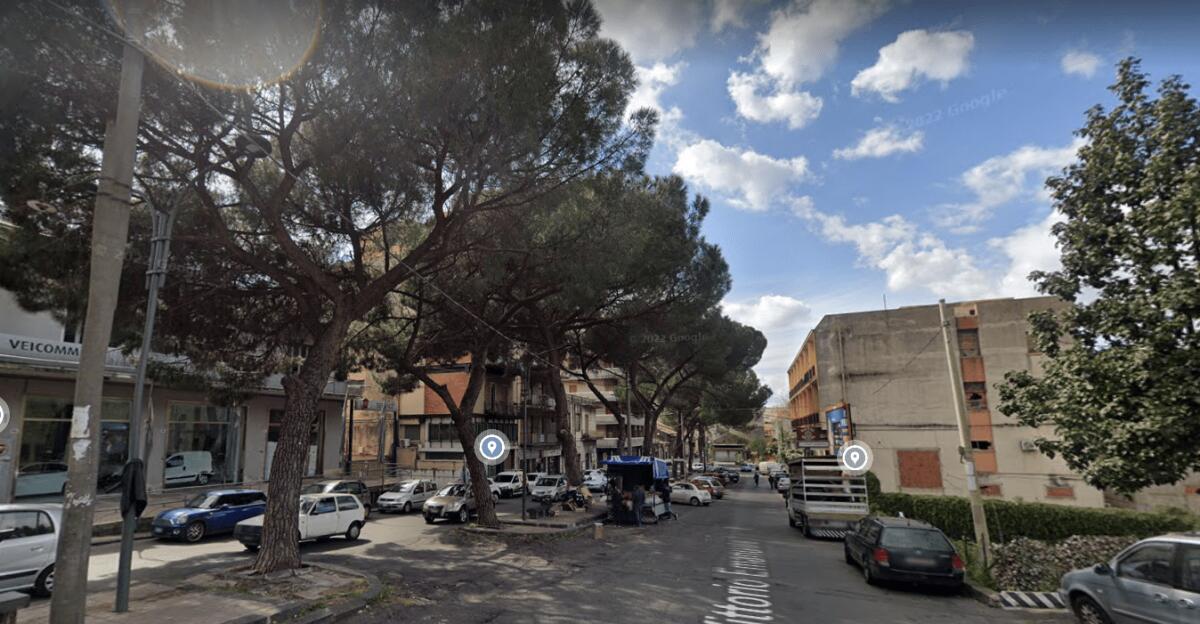 PATERNO’: DA DOMANI,  7 NOVEMBRE SOSPENSIONE DELLA SOSTA VEICOLARE, IN VIA VITTORIO EMANUELE ALTA, PER I LAVORI DI POTATURA DEI PINI - 