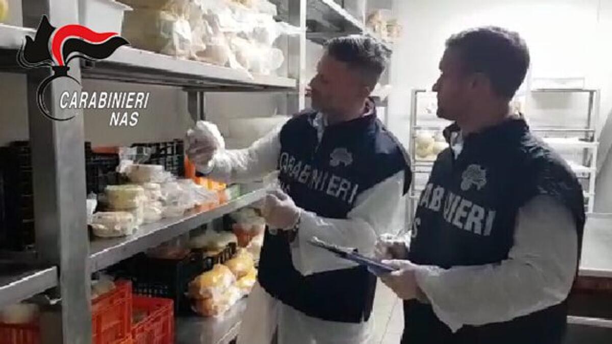 CONTROLLI SULLA LISTERIA A CATANIA  SEQUESTRATI  PRODOTTI LATTIERO-CASEARI, IN PROCINTO DI ESSERE COMMERCIALIZZATI, SPROVVISTI DI RINTRACCIABILITÀ - 