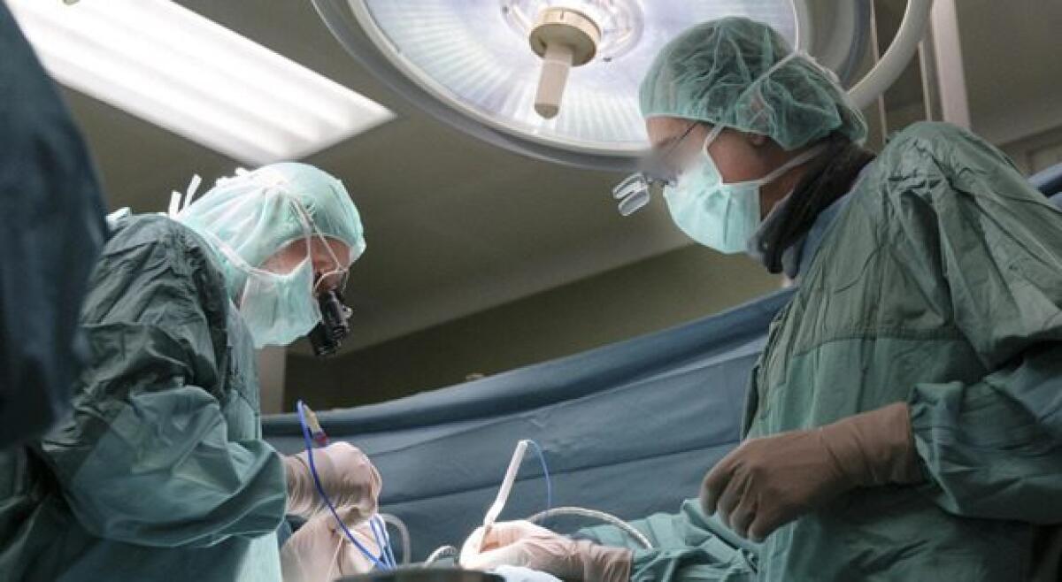 TORINO, ASPORTATO TUMORE OVARICO DI 70 CHILI. PESAVA PIÙ DELLA GIOVANE PAZIENTE - 