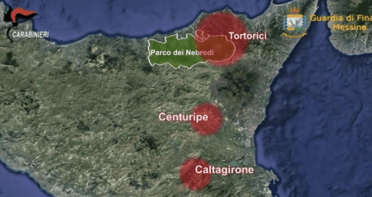 MAFIA DEI NEBRODI, CONDANNE PER 600 ANNI DI CARCERE, TUTTI I NOMI - 