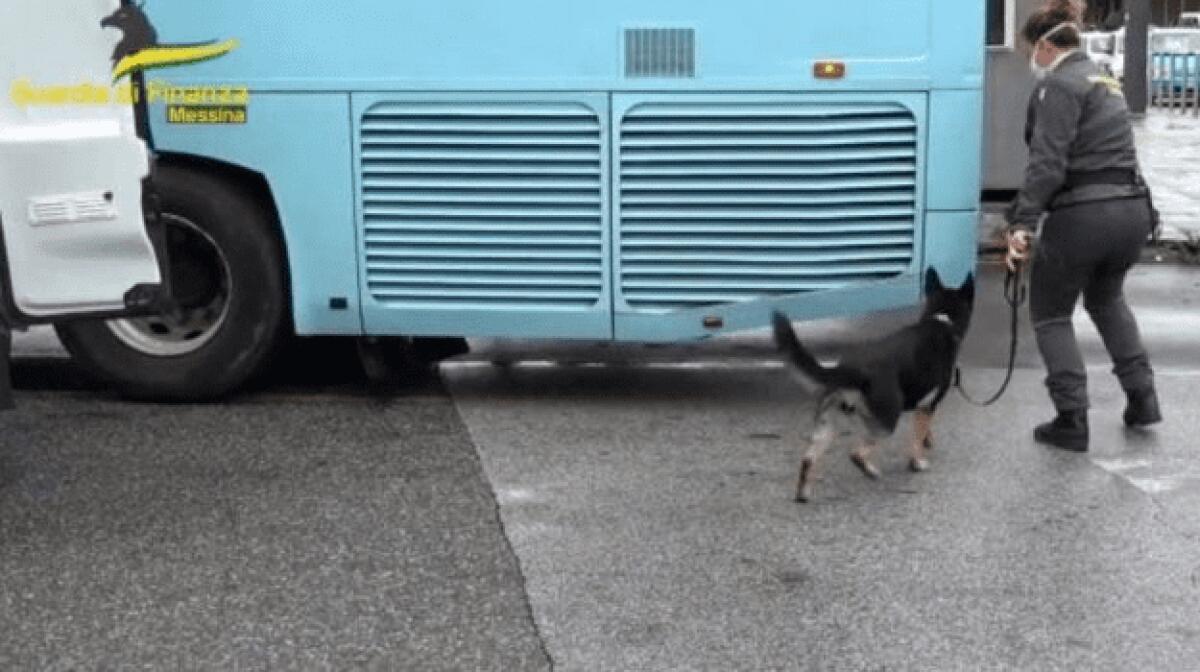 A MESSINA SEQUESTRATI OLTRE 10 CHILI TRA COCAINA E HASHISH: LA DROGA AVREBBE FRUTTATO CIRCA 1 MILIONE DI EURO - 