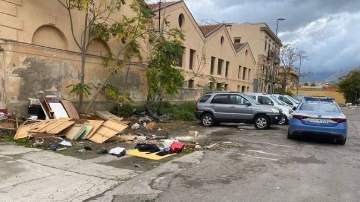 ORRORE A PALERMO. UCCIDE UN GATTO E LO MANGIA: DENUNCIATO. - 