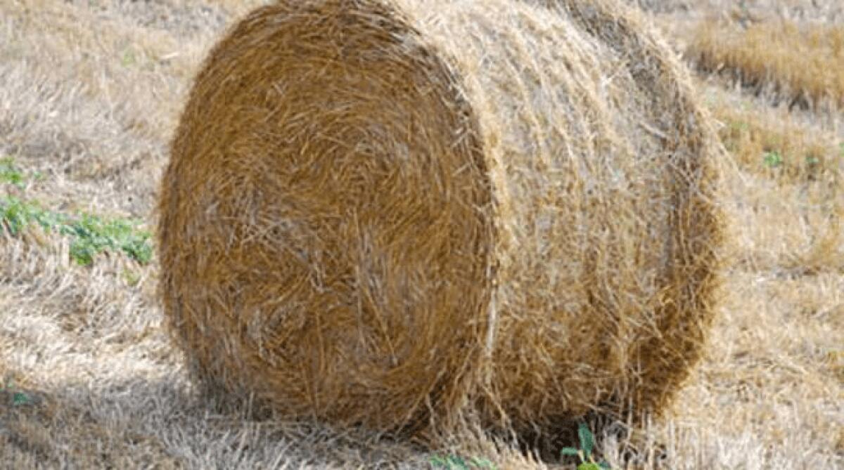 TRAGICO NATALE A LICATA, MUORE SCHIACCIATO DA BALLA FIENO DI 350KG - 