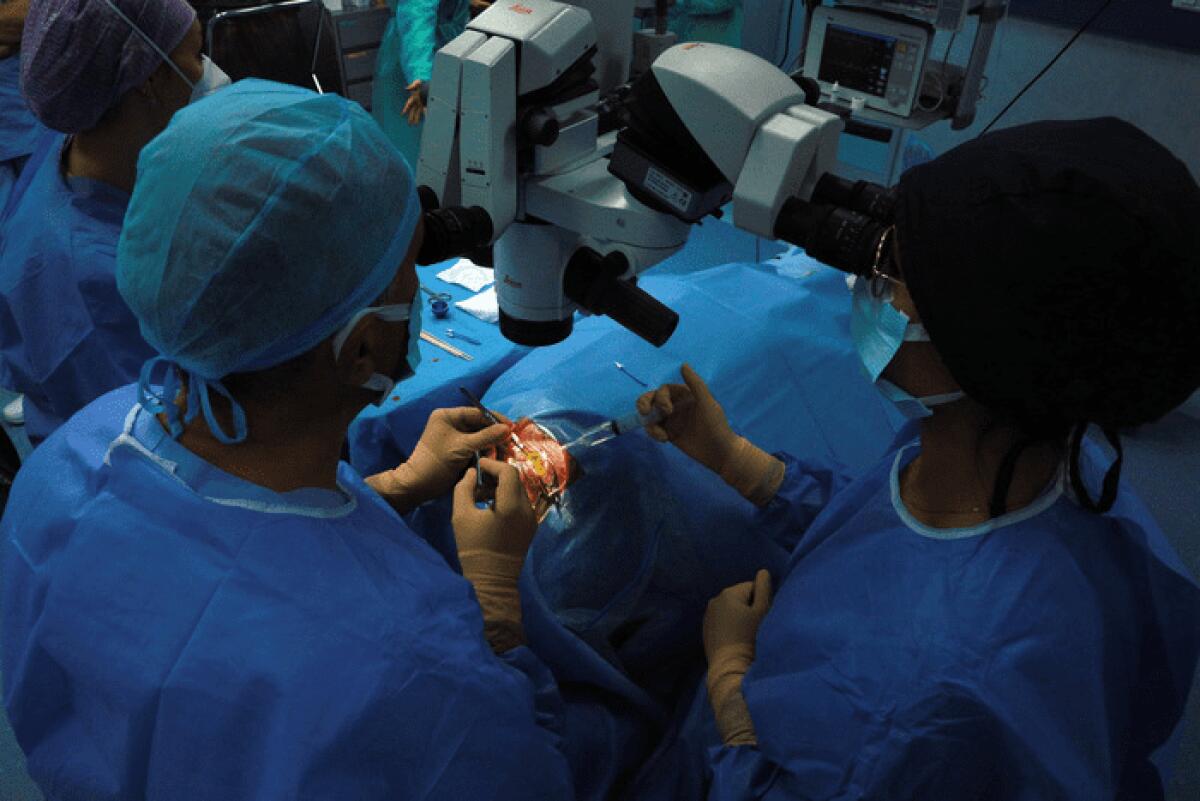 BOLOGNA: CIECA DA 5 ANNI, RECUPERA LA VISTA DA UN OCCHIO GRAZIE A UNA CORNEA ARTIFICIALE - 