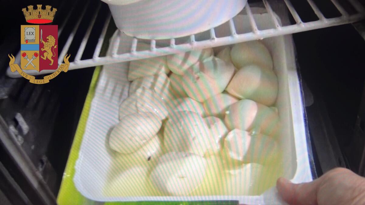 CATANIA: CONTROLLI E SANZIONI IN DUE RISTORANTI DI VIA GARIBALDI; OLTRE 100 KG DI ALIMENTI NON TRACCIATI - 