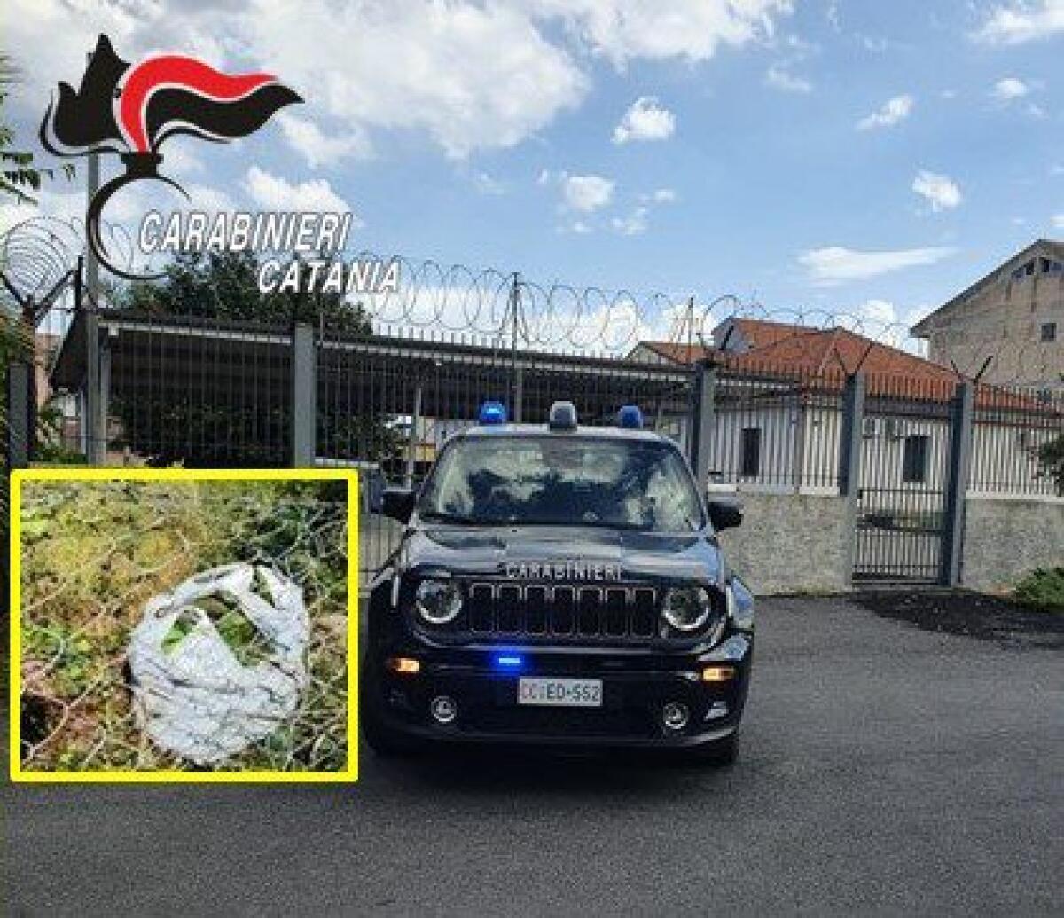 GIARRE. BECCATI COL SACCO PIENO DI AVOCADI: DUE ARRESTI - 