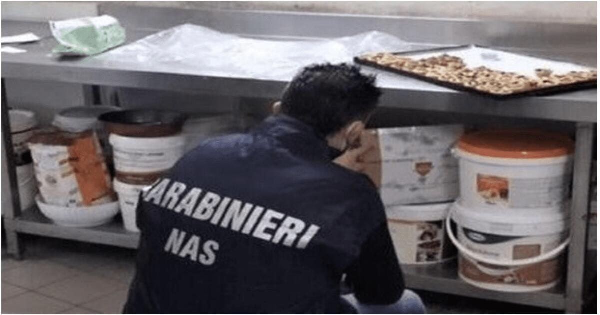 CONTROLLI DEI NAS. RINVENUTI OLTRE 7 TONNELLATE DI PISTACCHIO INVASO DA LARVE DI INSETTI NON IDONEO AL CONSUMO UMANO, E CARNE PRODOTTA ALL'INTERNO DI UN  GARAGE - 