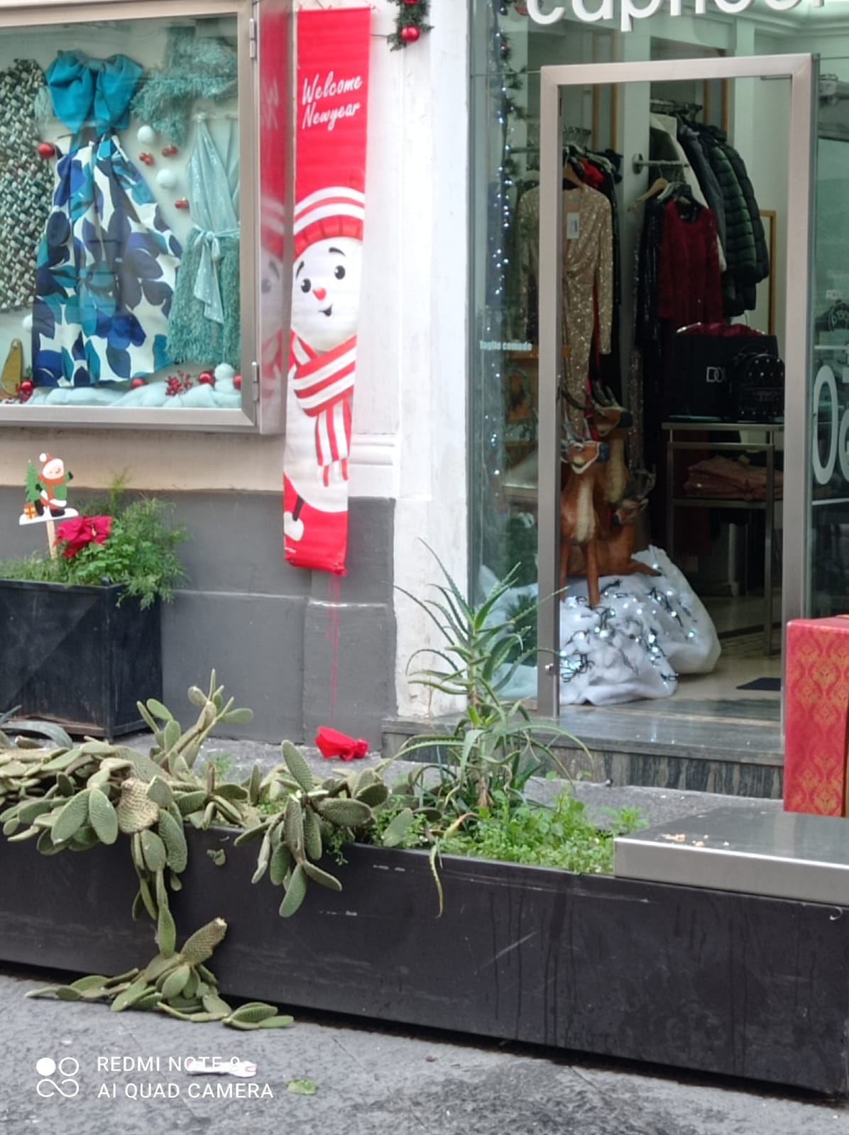 PATERNÒ. VANDALI NELLA NOTTE, DIVELTA FIORIERA IN VIA V.EMANUELE. «L'INCIVILTÀ' A PATERNO' CRESCE»