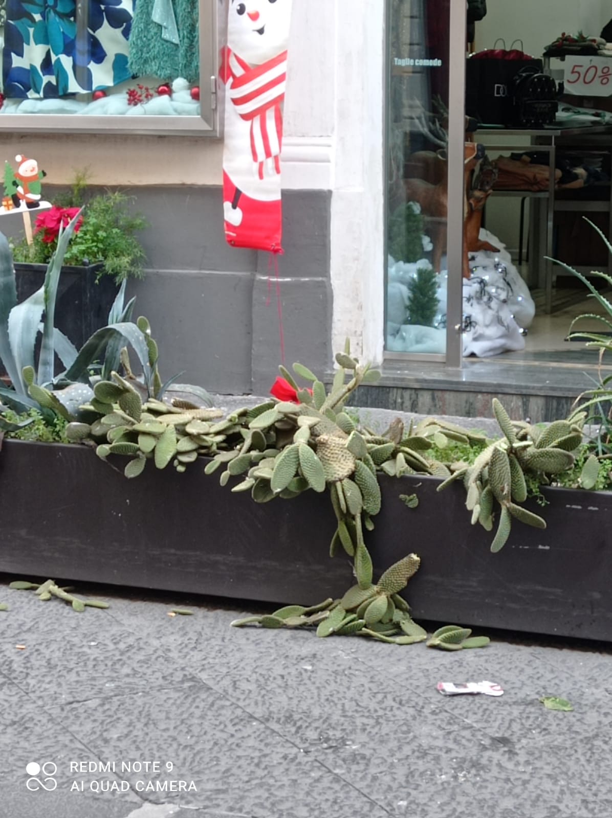 PATERNÒ. VANDALI NELLA NOTTE, DIVELTA FIORIERA IN VIA V.EMANUELE. «L'INCIVILTÀ' A PATERNO' CRESCE»