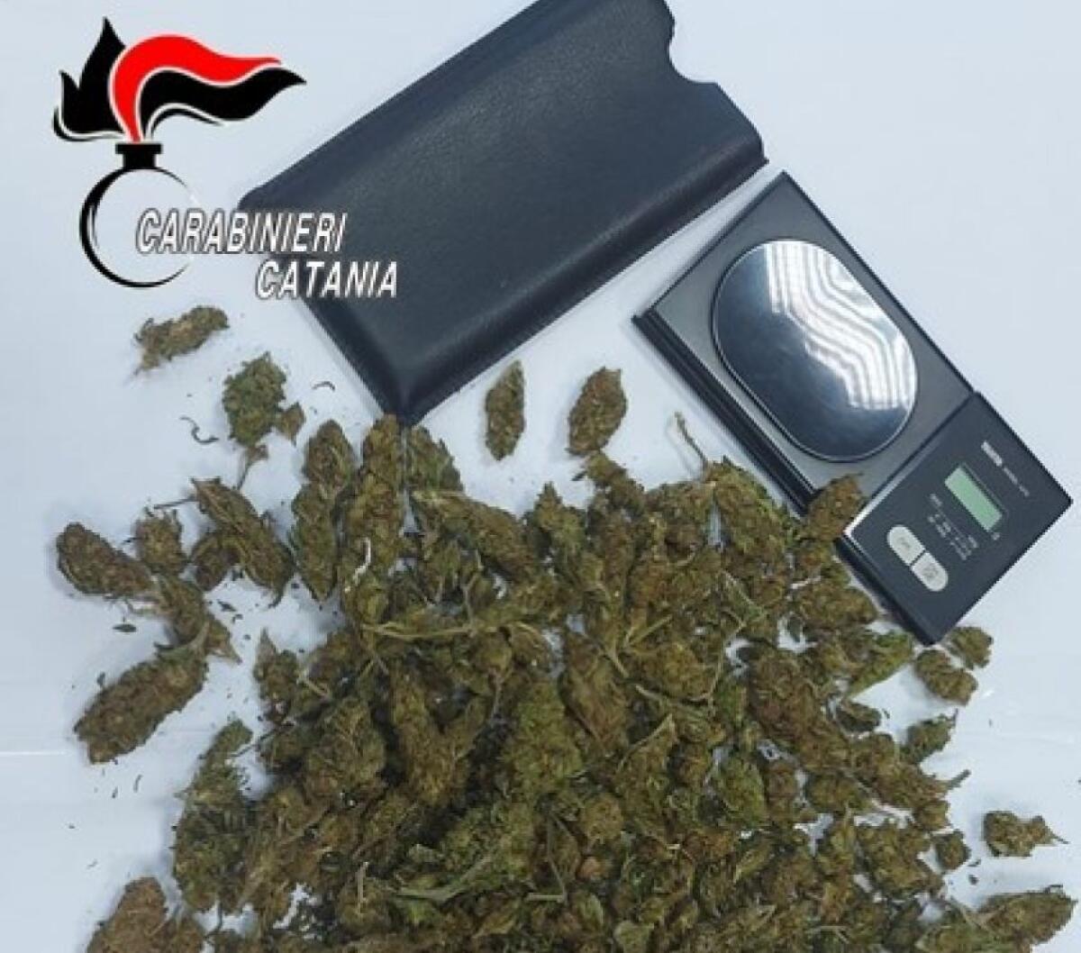 ACI SANT'ANTONIO, MINORE SORPRESO A SPACCIARE SCOPPIA IN LACRIME: «NON DITELO AI MIEI» - 