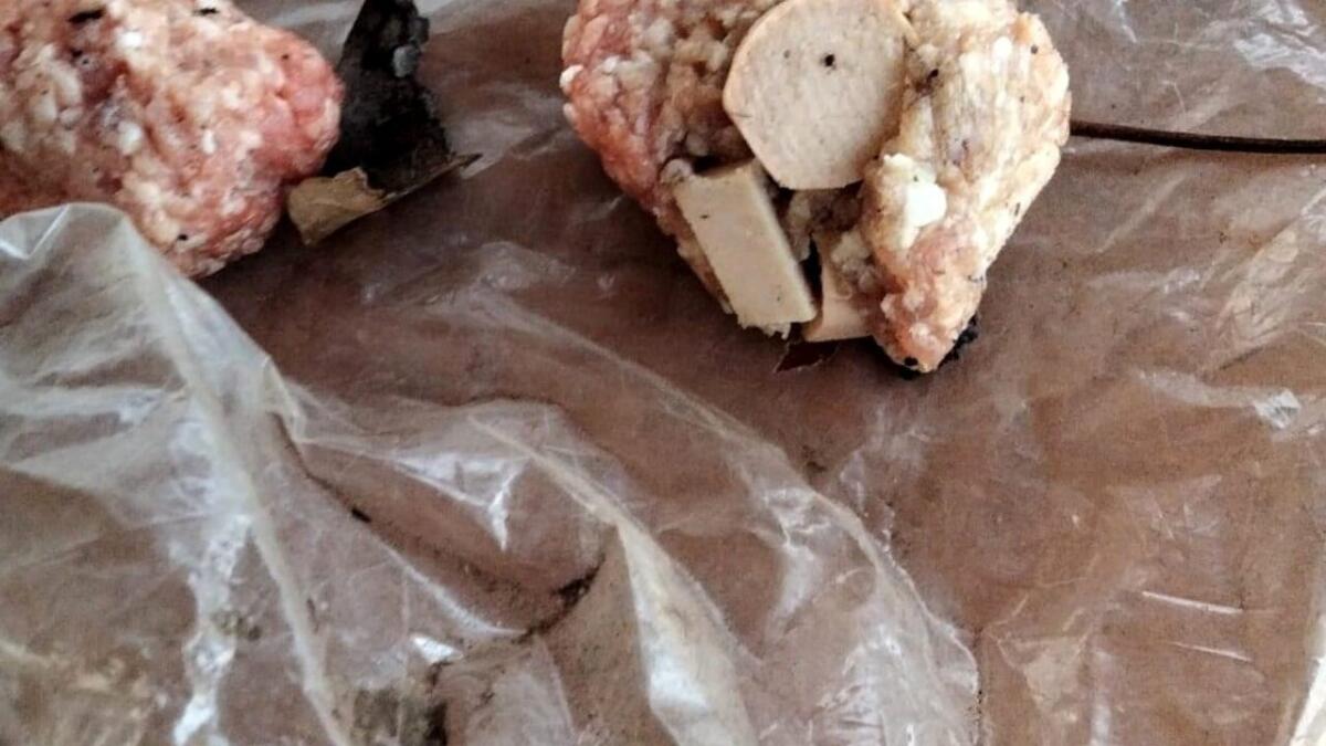 BOCCONI AVVELENATI TRA L’ERBA A GIARRE, 5 CANI MORTI DOPO LENTA AGONIA. BARBAGALLO: “ATTO CRIMINALE E DISUMANO” - 