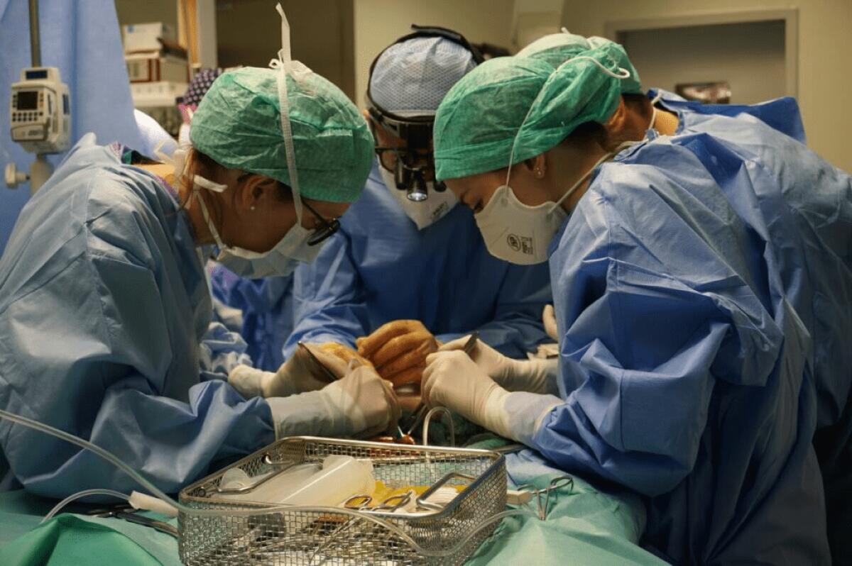 BERGAMO, PADRE DONA POLMONE AL FIGLIO DI 5 ANNI: È IL PRIMO TRAPIANTO DA DONATORE VIVENTE IN ITALIA - 