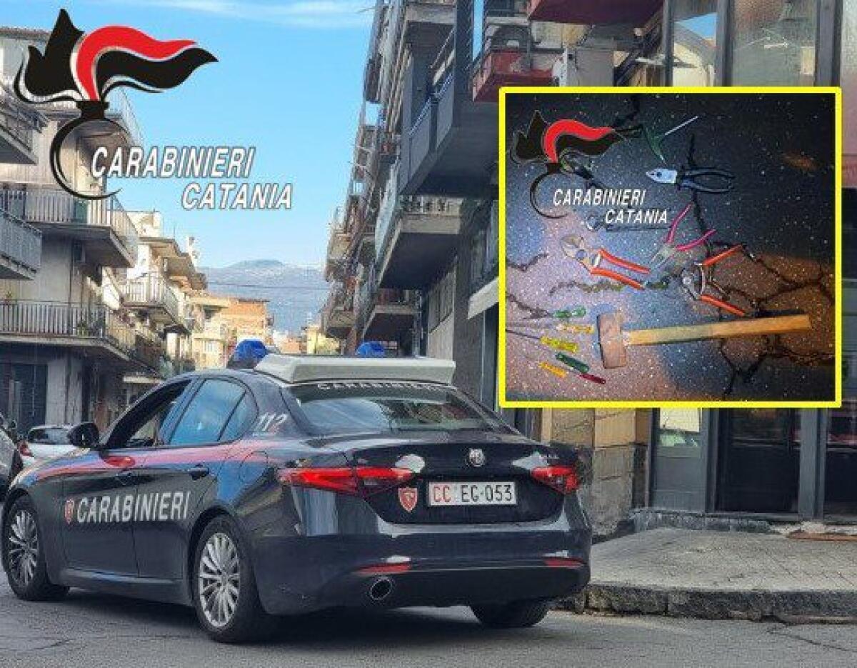 PATERNÒ. SCOPERTI E SEQUESTRATI IN UNA MACELLERIA 20 KG DI SALUMI E 29 KG DI PRODOTTI CASEARI NON TRACCIATI - 