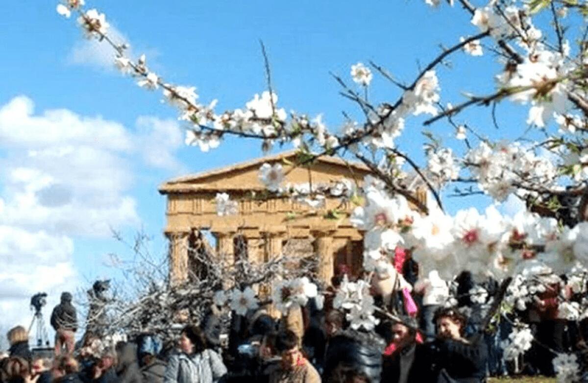 TORNA DOPO 4 ANNI LA SAGRA DEL MANDORLO IN FIORE DI AGRIGENTO - 