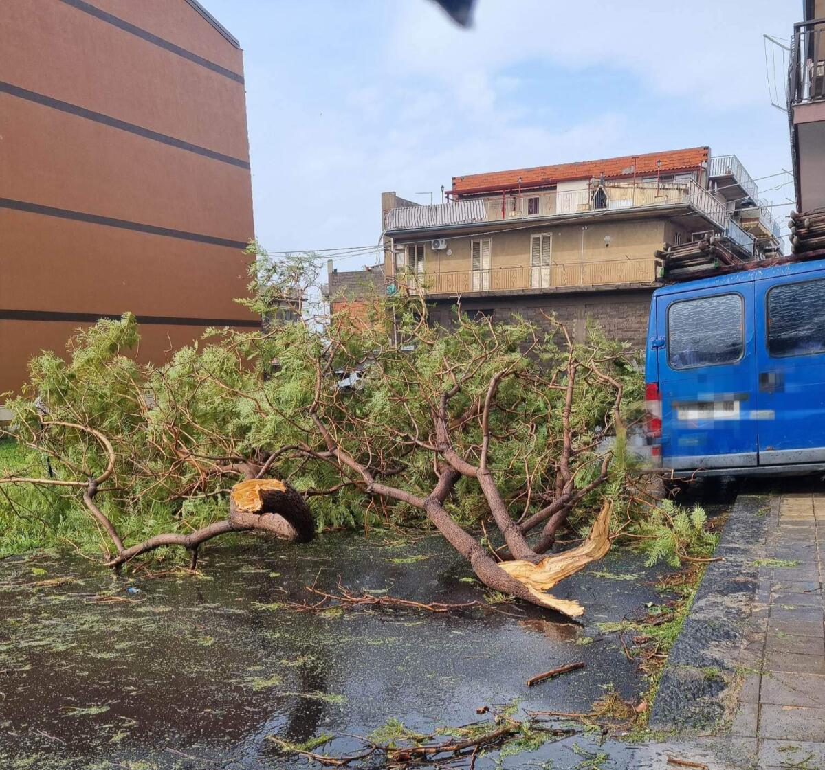 MALTEMPO SICILIA, SCHIFANI: DICHIAREREMO STATO DI CRISI - 