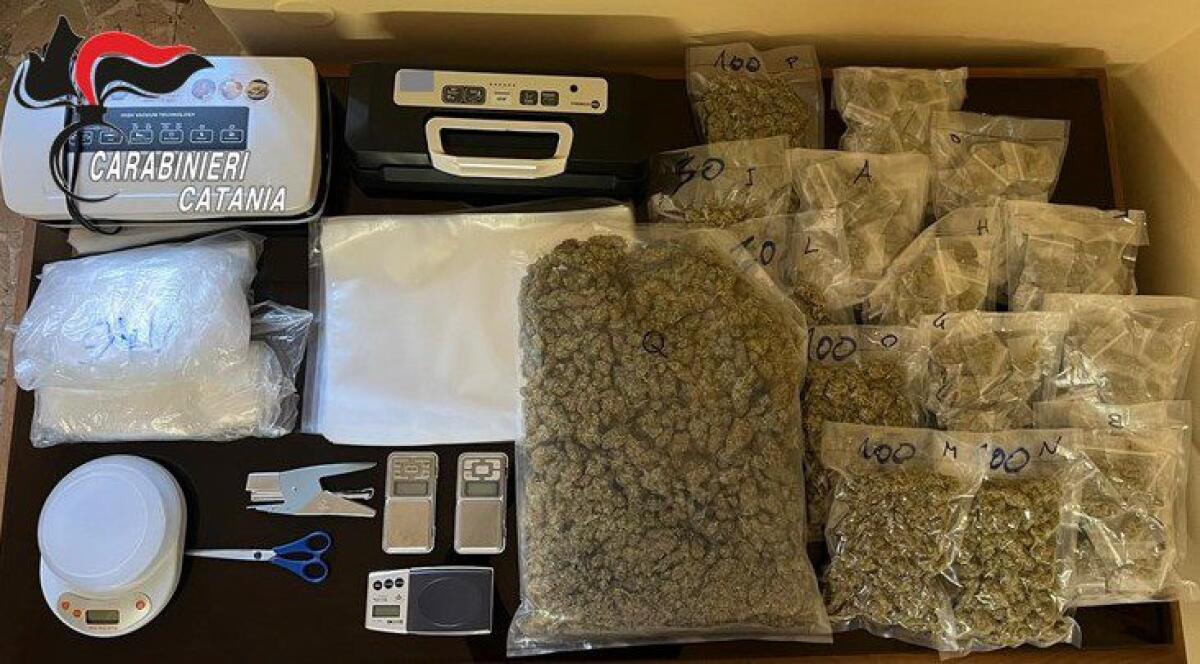 CATANIA. AVEVA 2,3 KG DI MARIJUANA IN CASA: ARRESTATO UN 55ENNE - 
