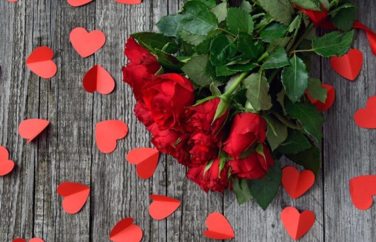 SAN VALENTINO, QUANTO MI COSTI: PER UNA ROSA SI SPENDONO ANCHE 10 EURO - 