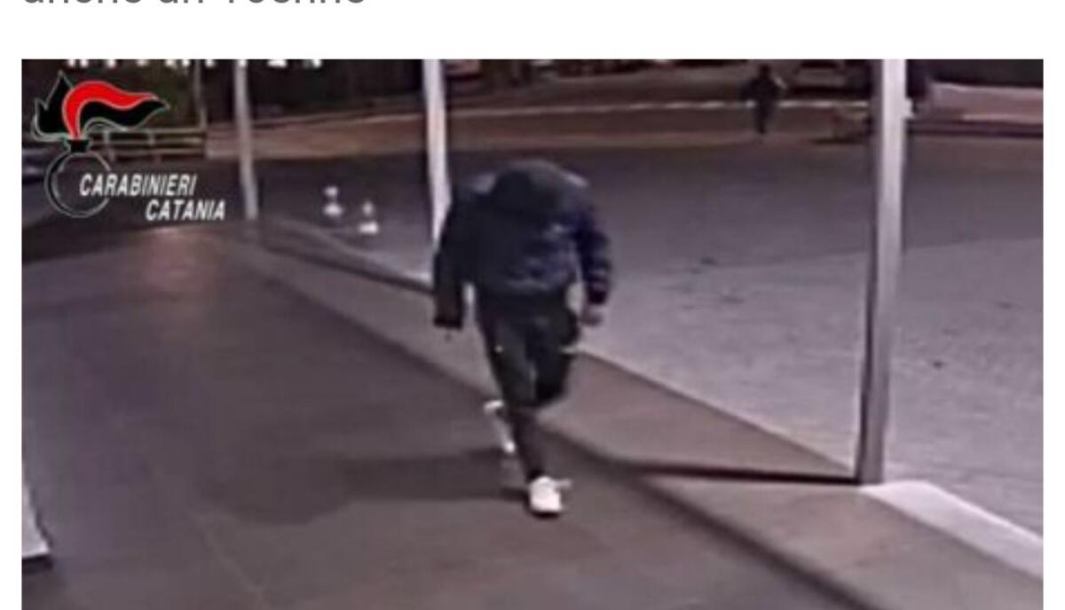 CATANIA. PACCIO, RAPINE E CAVALLI DI RITORNO: 15 INDAGATI E 6 ARRESTI - 