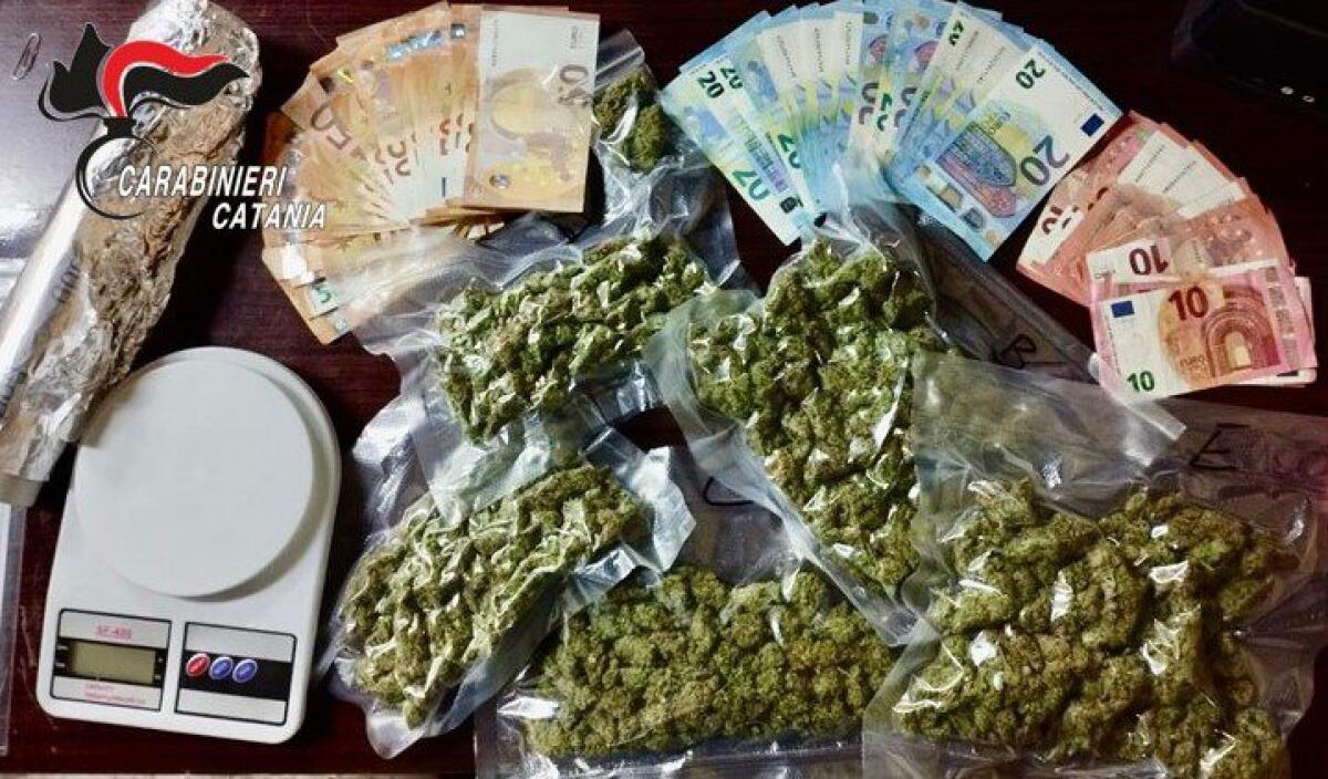 Catania. Trovato con 413 grammi di marijuana in casa: arrestato un 34enne - 
