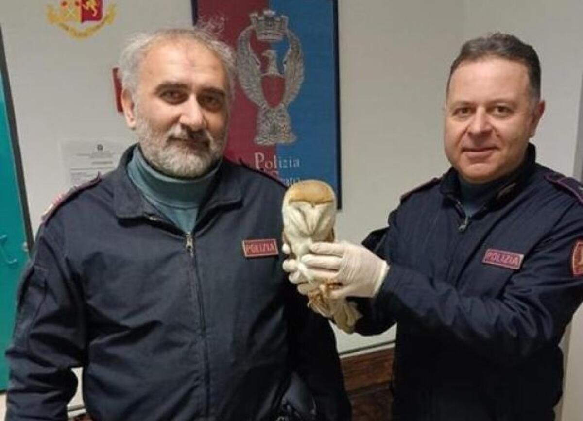 CATANIA, SALVATO BARBAGIANNI FERITO TRA I BINARI - 