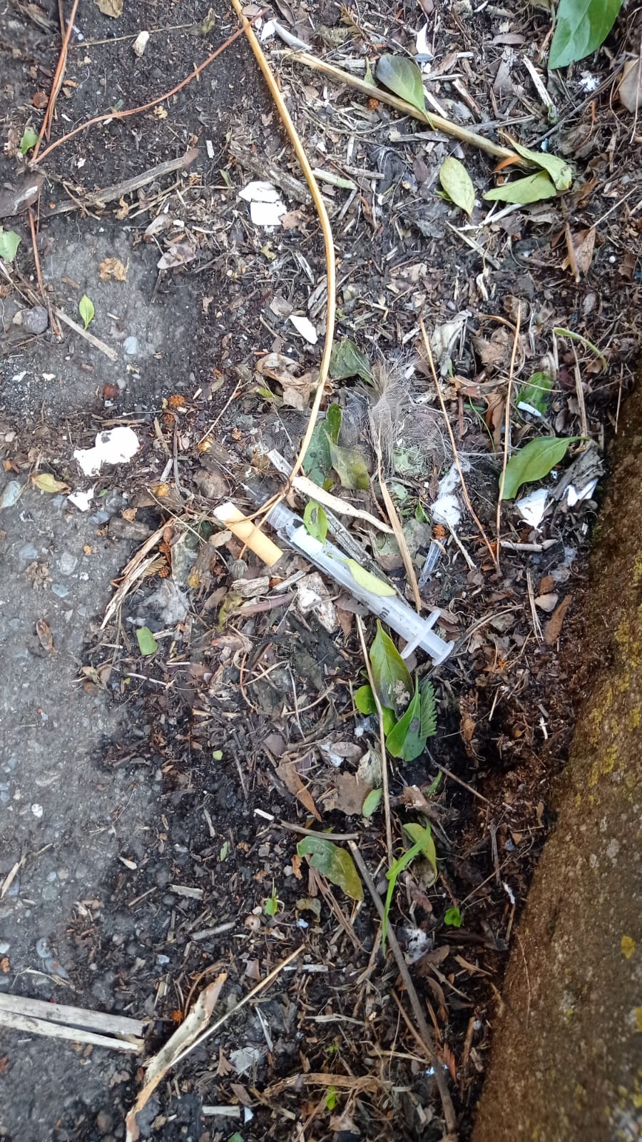 Paternó : Segnalazioni dei lettori