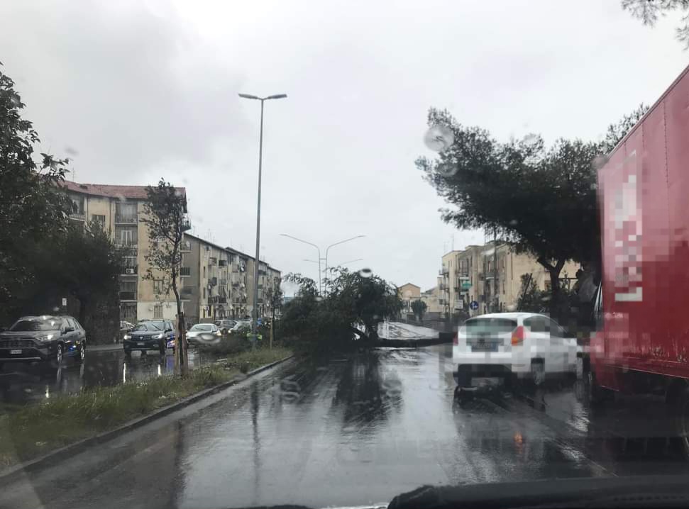 PATERNO': ALBERO CADE SU AUTO IN VIA DELLE ROSE