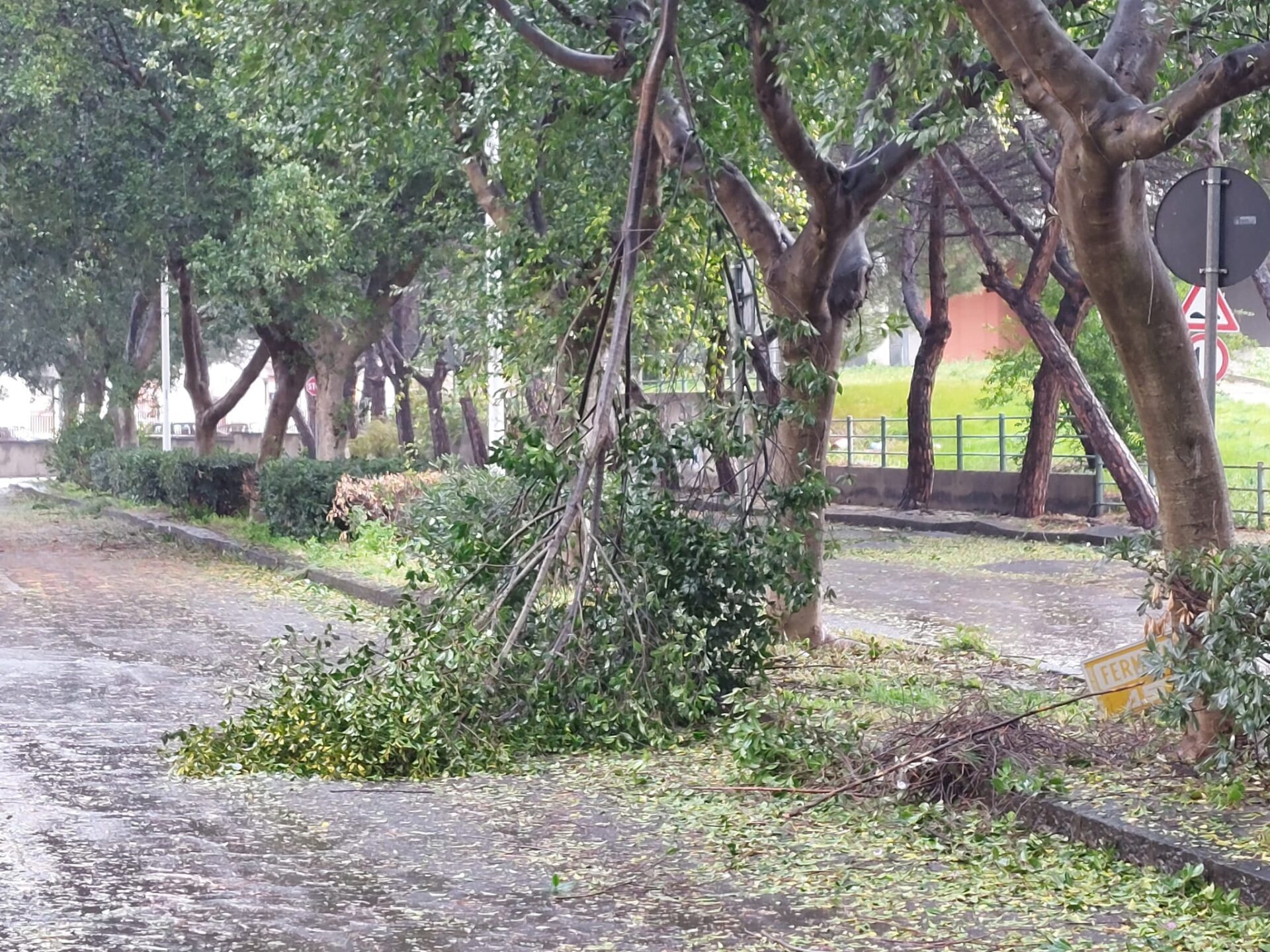 Maltempo: nubifragi e vento, le vostre foto inviate a 95047.it