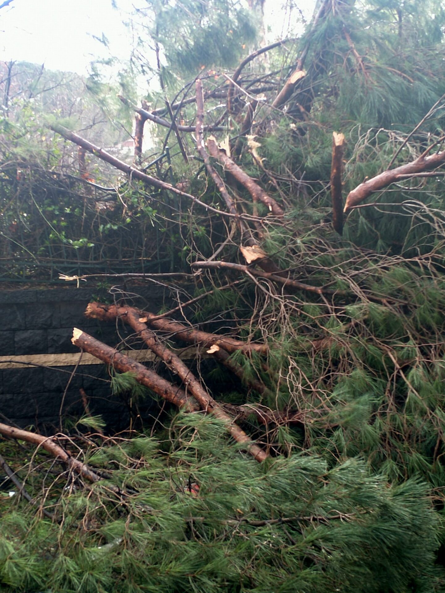Maltempo: nubifragi e vento, le vostre foto inviate a 95047.it