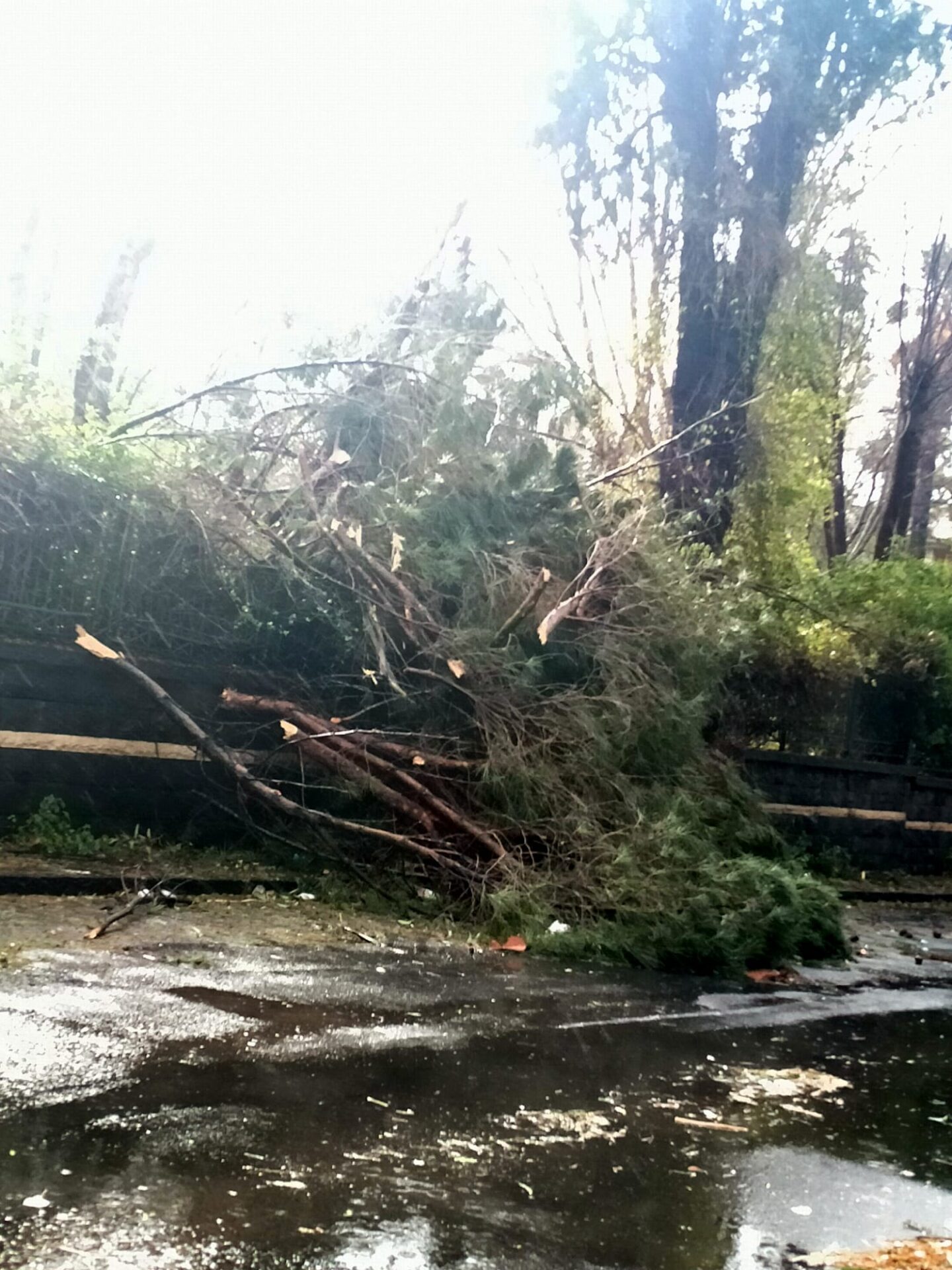 Maltempo: nubifragi e vento, le vostre foto inviate a 95047.it