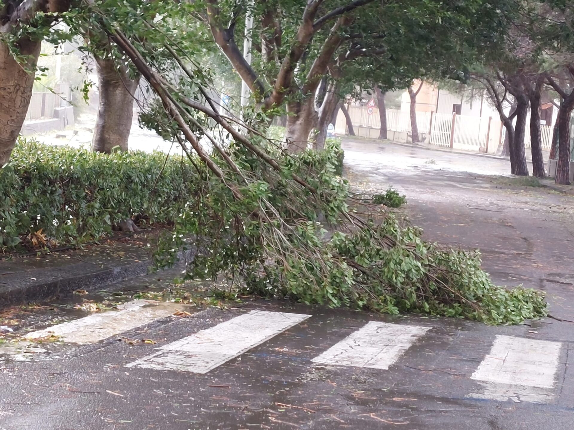 Maltempo: nubifragi e vento, le vostre foto inviate a 95047.it