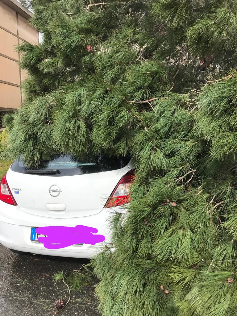 Maltempo: nubifragi e vento, le vostre foto inviate a 95047.it