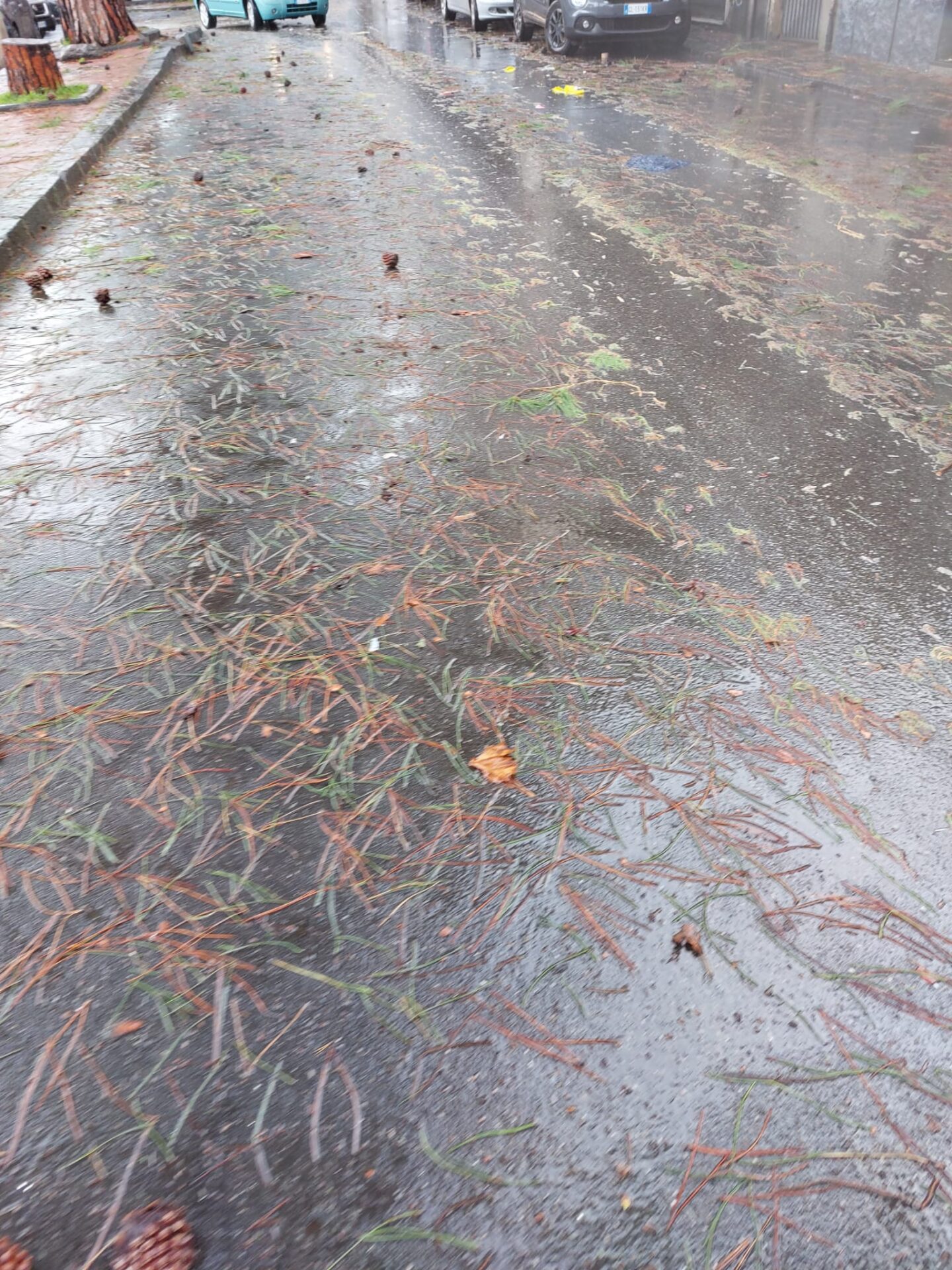 Maltempo: nubifragi e vento, le vostre foto inviate a 95047.it